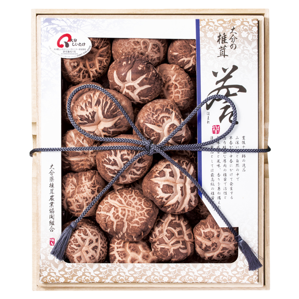 啪ő_Ƌg 啪Yő ԓ~(ǂ) _ (_-100)